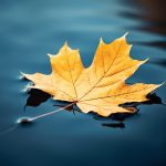 To open not into projection welcome